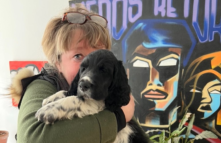 hjem til kærlighed engelsk springer spaniel